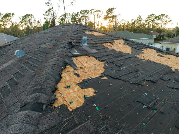 Trusted Spring Valley, CA Roofing Services Experts