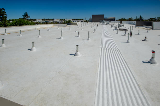 Best Roof Moss and Algae Removal  in Spring Valley, CA